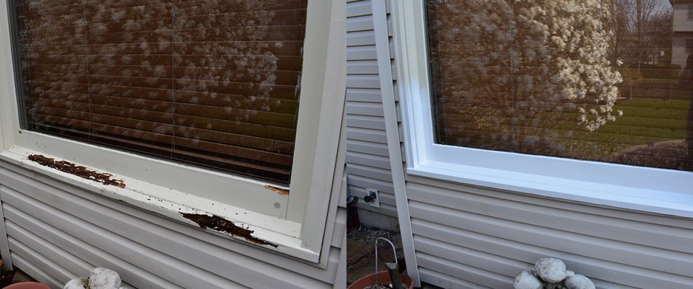 services-window-repair