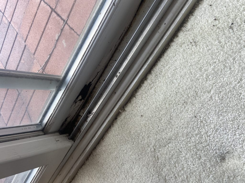 sliding-glass-door-repair-Chicago, IL