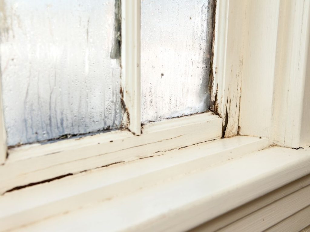 Rotting Window Sills and Frames repair for Mount Prospect IL home