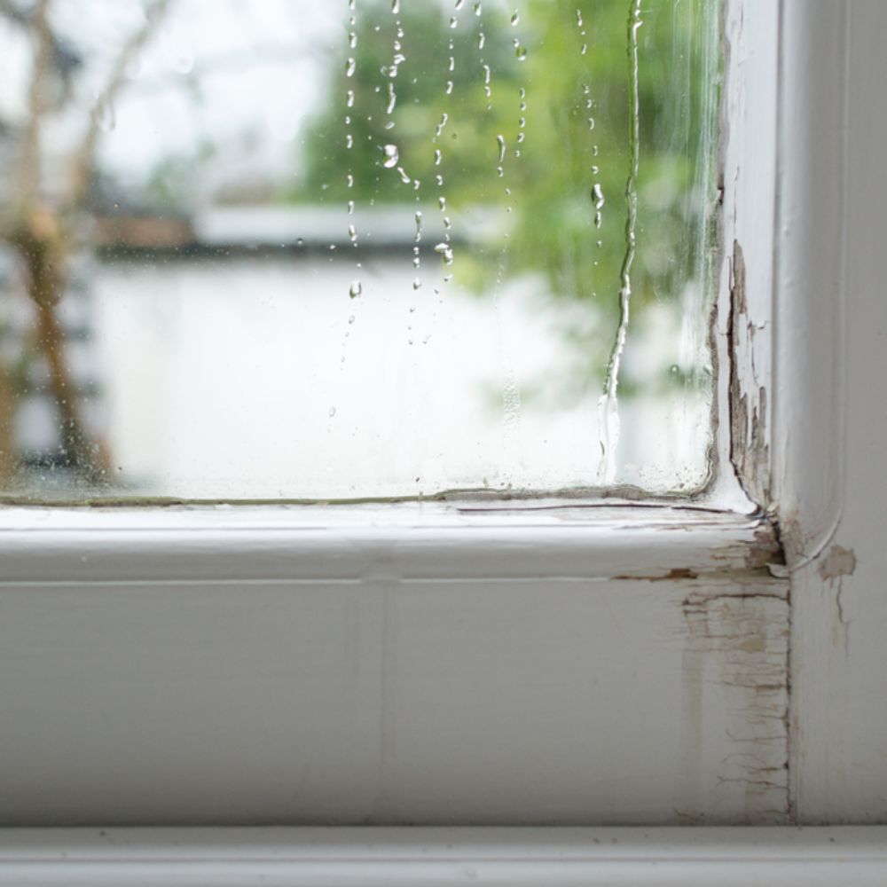 Leaky WIndow Repair