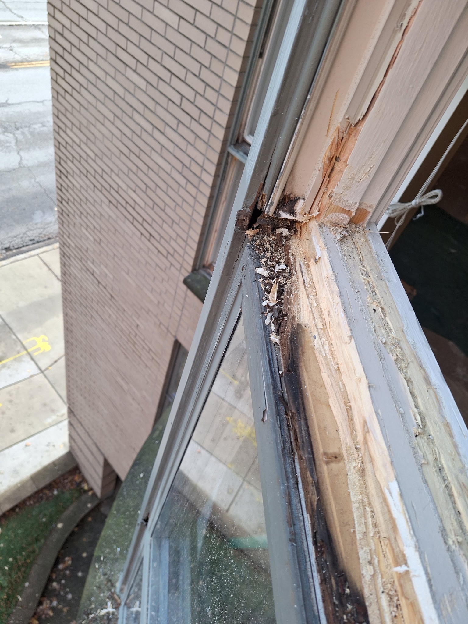 Rotted wood window frame repair in Palatine, IL