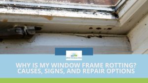 Why Is My Window Frame Rotting Causes, Signs, and Repair Options